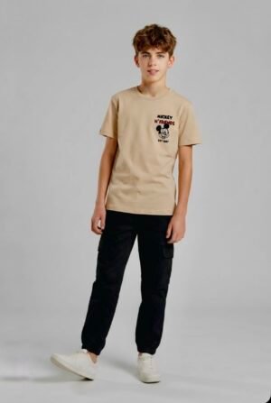 Mickey Mouse and Friends Print T-Shirt Boys